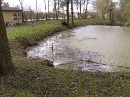 Sturm Emma 01.03.2008